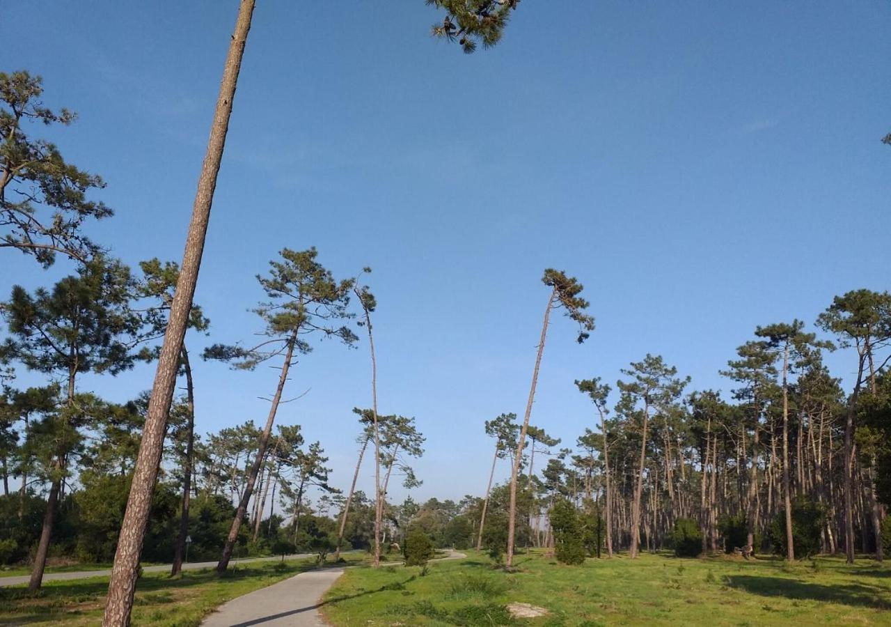 Greenside Of Sea Corujeira Exterior photo